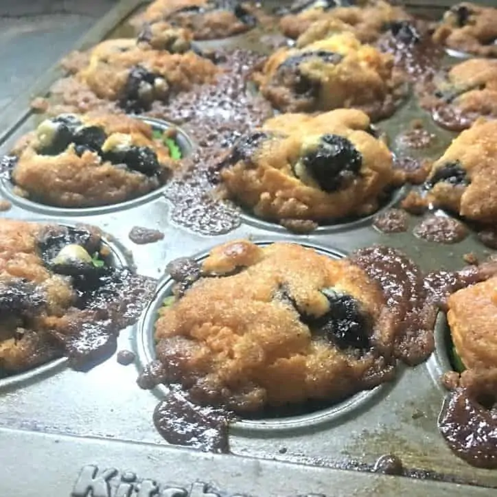 A photo of the baked muffins in the pan for Blueberry Mini Muffins with a Crumble Top