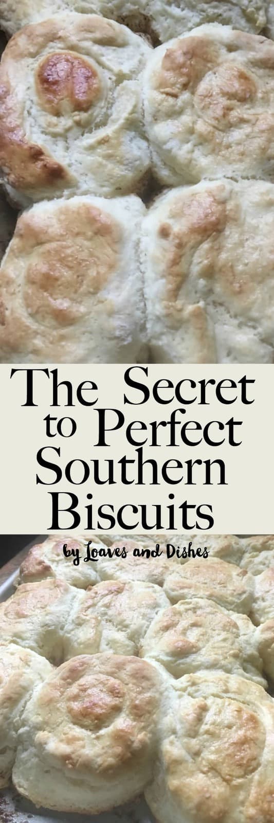 Homemade Easy Southern Biscuits made with buttermilk. Like the Pioneer Woman or Paula Deen might make. This is the best recipe and uses self rising flour so it is all in there. All of the steps revealed with photos and explanation.