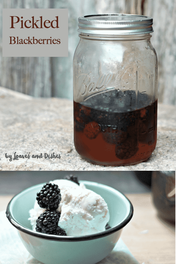 The best treat you will ever add to something creamy like ice cream or goat cheese or... Pickled Blackberries! Homemade and so simple! #pickledblackberries #blackberry #recipe
