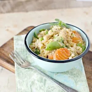 a bright photo of Restaurant Style Chicken Fried Rice