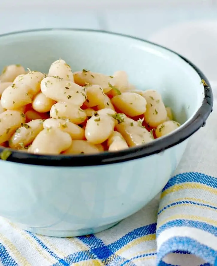 Close up shot of navy beans in blue bowl