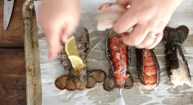 hands laying lemon slices beneath the lobster meat