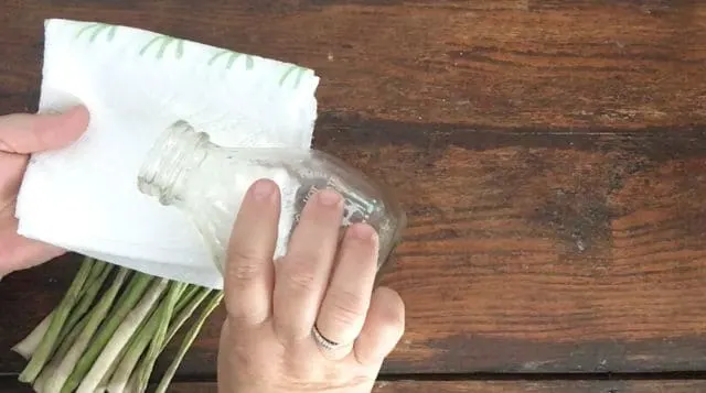 hand holding small glass jar wetting paper towels