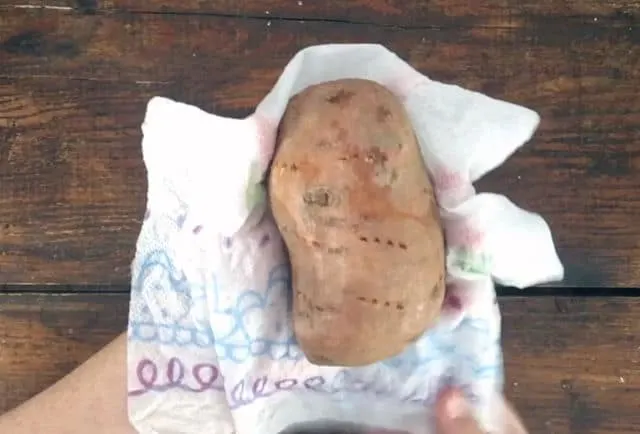 hand holding a sweet potato and wrapping in a damp paper towel