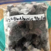 quart size bag of frozen blackberries