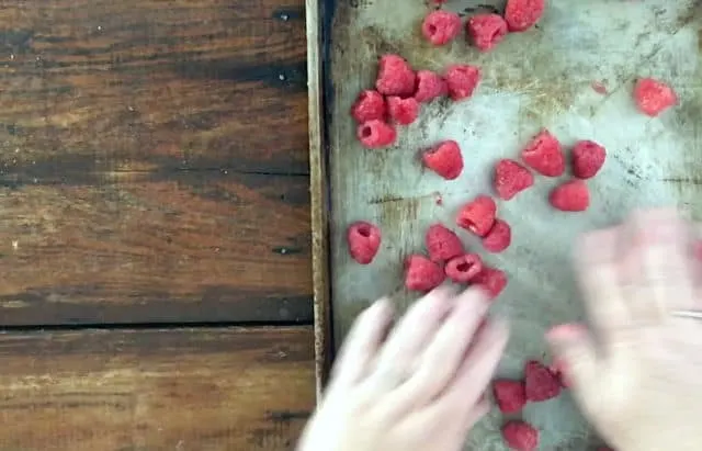 hand spreading out raspberries onto baking sheet
