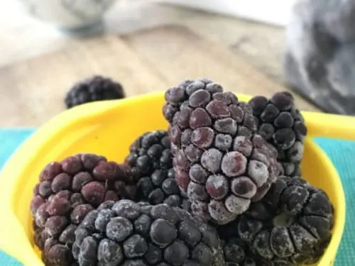 How to Freeze Blackberries