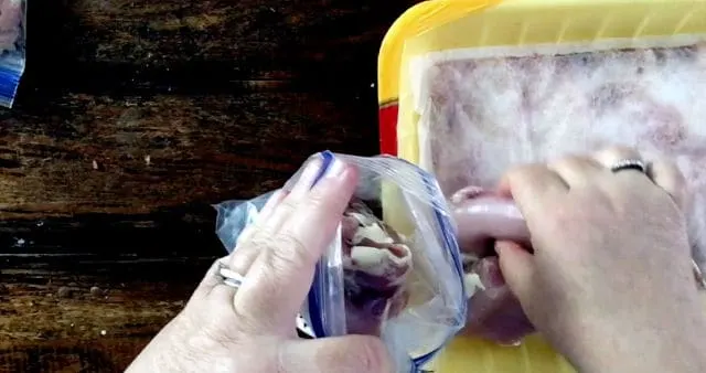 hands placing chicken into bag