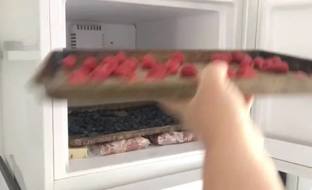hand placing tray of raspberries into the freezer