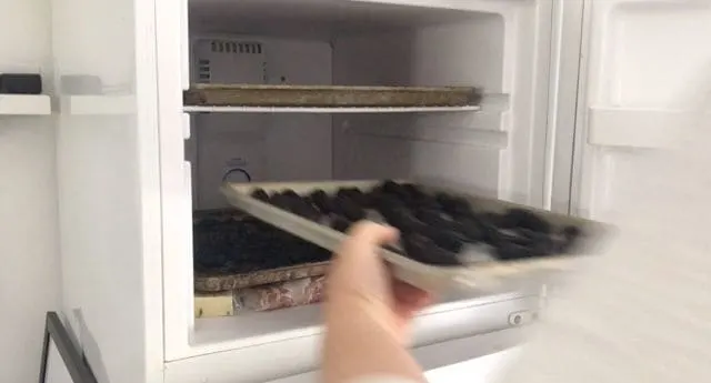 hand placing sheet of blackberries into the freezer