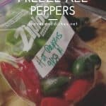 How To Freeze All Peppers
