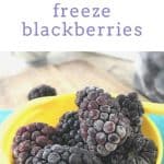 How to Freeze Blackberries