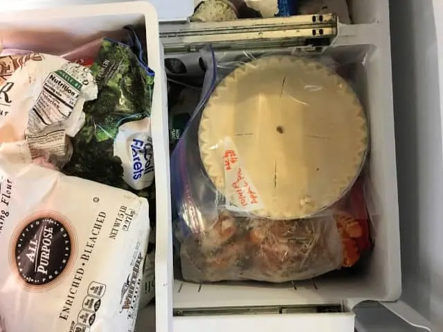 pie in freezer bag in the freezer