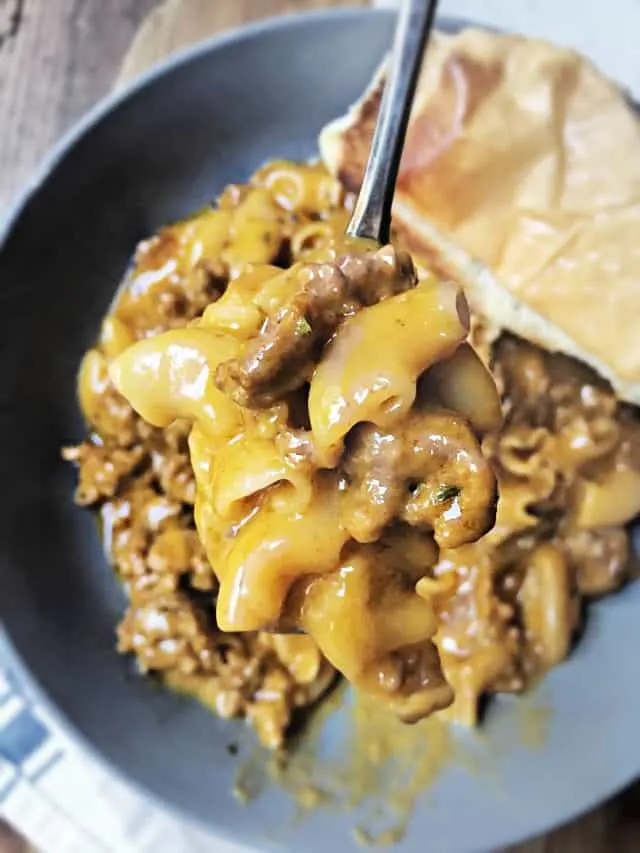 spoonful of hamburger helper close up bowl in background