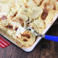 spoonful of creamy scalloped potatoes in red dish