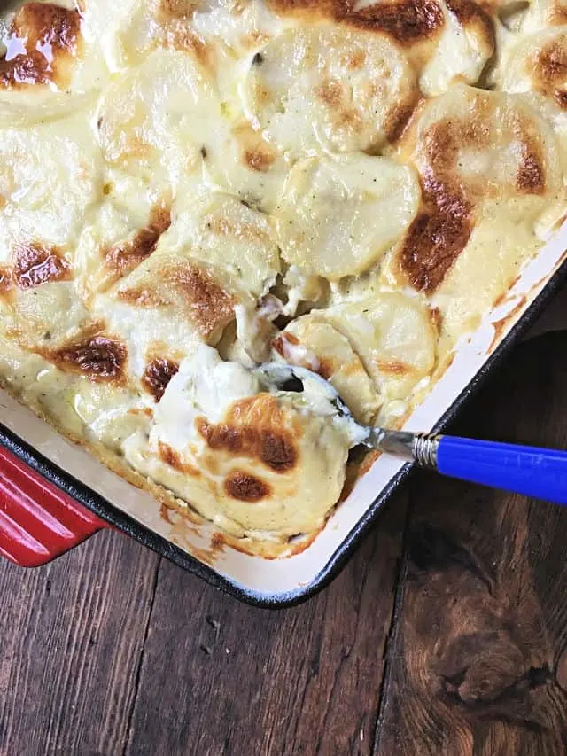 spoonful of creamy scalloped potatoes in red dish