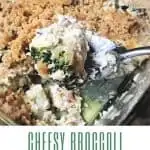 Cheesy Broccoli Casserole