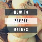 How to Freeze Onions