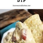 Cheeseburger Dip