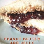 Peanut Butter and Jelly Sandwich