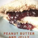 Peanut Butter and Jelly Sandwich