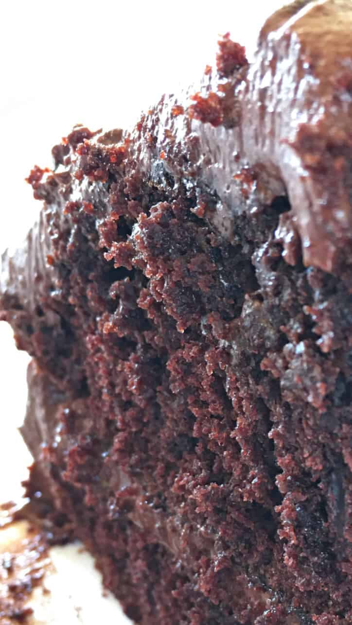 close up photo of the crumb of the matilda cake recipe