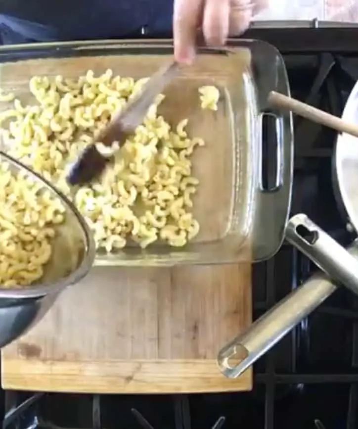 fresh cooked macaroni noodles added to 9x13 baking dish