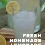 Fresh Homemade Lemonade