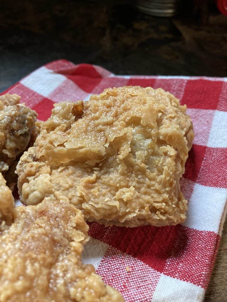 fried chicken thigh on checked napkin