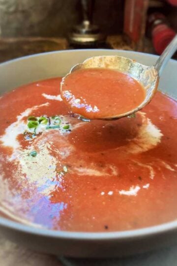 bowl of soup with ladel