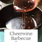 Cheerwine Barbecue Sauce