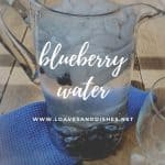 Blueberry Water