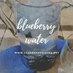 Blueberry Water