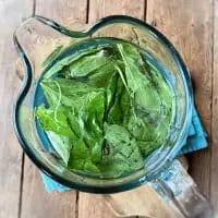 pitcher of basil water