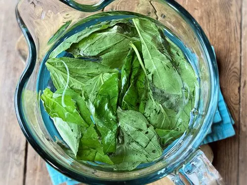 Basil Water