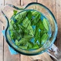 mint water in pitcher