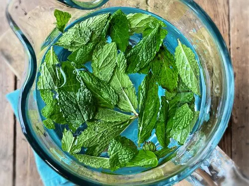 mint water in pitcher