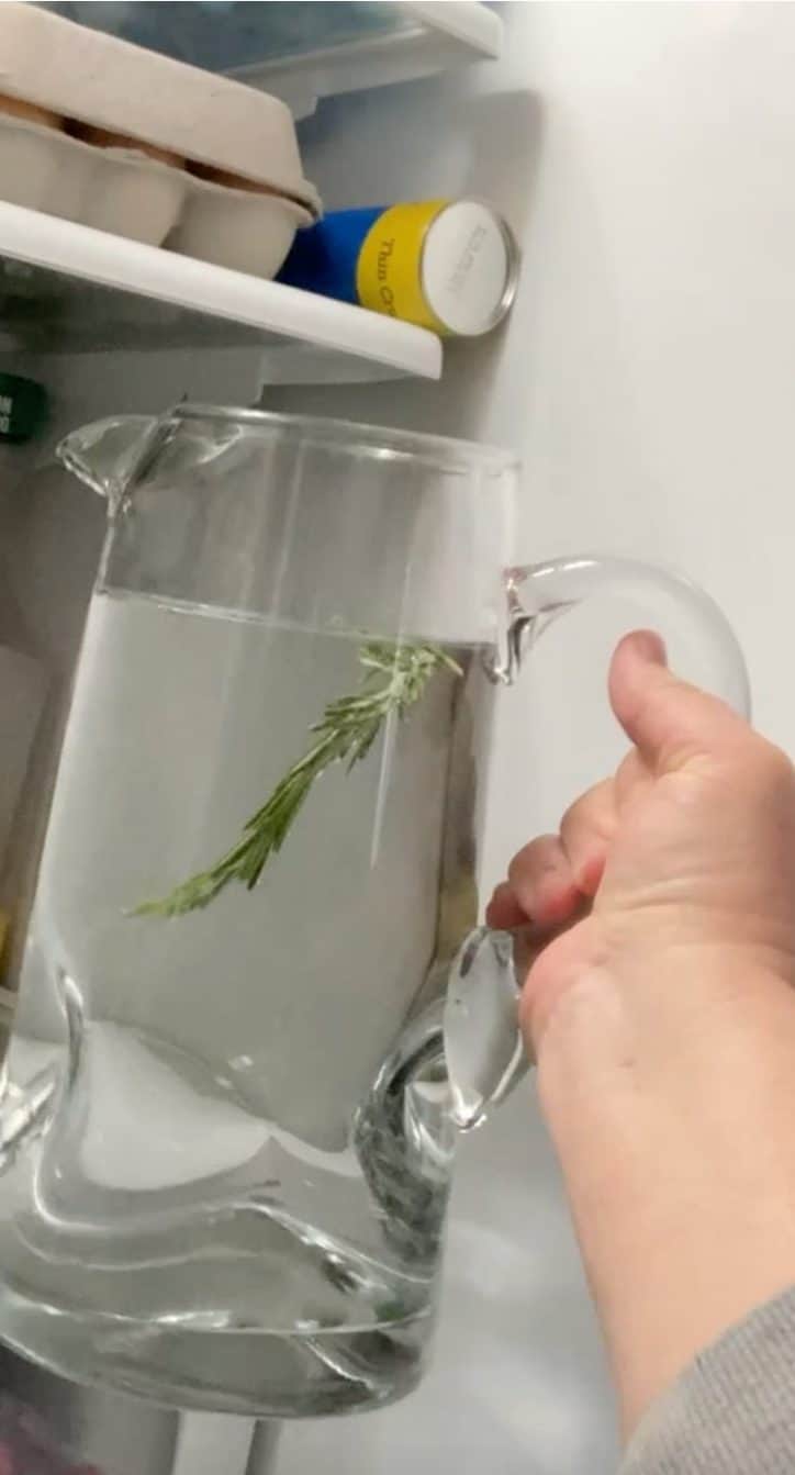 5 minute • Rosemary Water • Loaves and Dishes