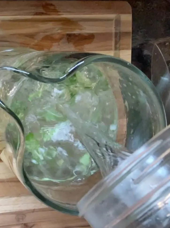 adding water to pitcher