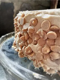 outer edge of peanut butter frosting