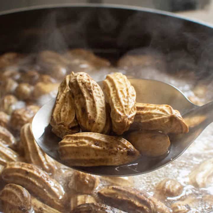 Easy • Pressure Cooker Boiled Peanuts • Loaves and Dishes