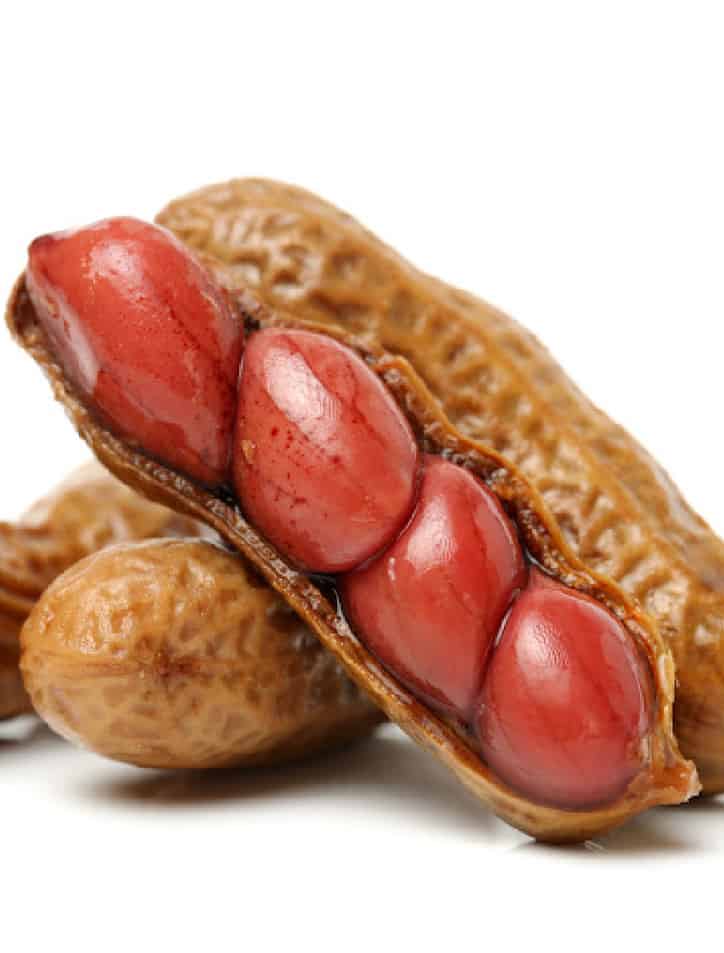 Easy • Pressure Cooker Boiled Peanuts • Loaves and Dishes