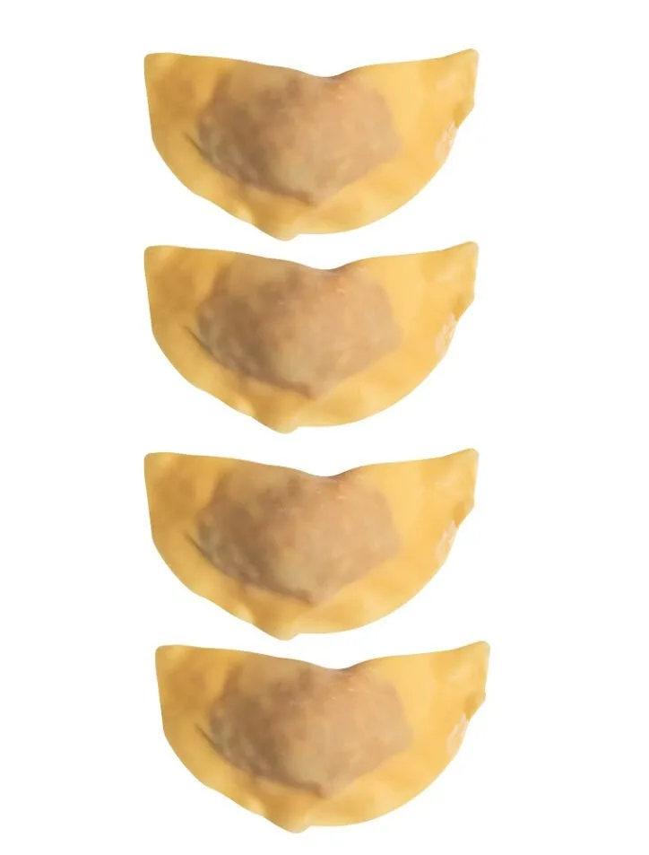 folded wontons