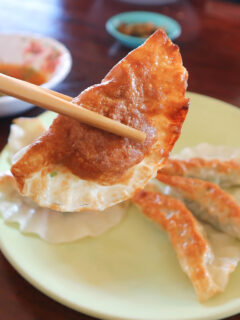 Air fryer won ton