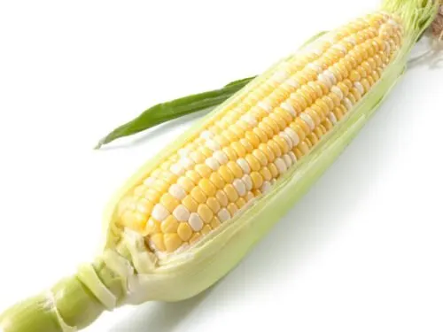 How to Cook Corn on the Cob on the Stove