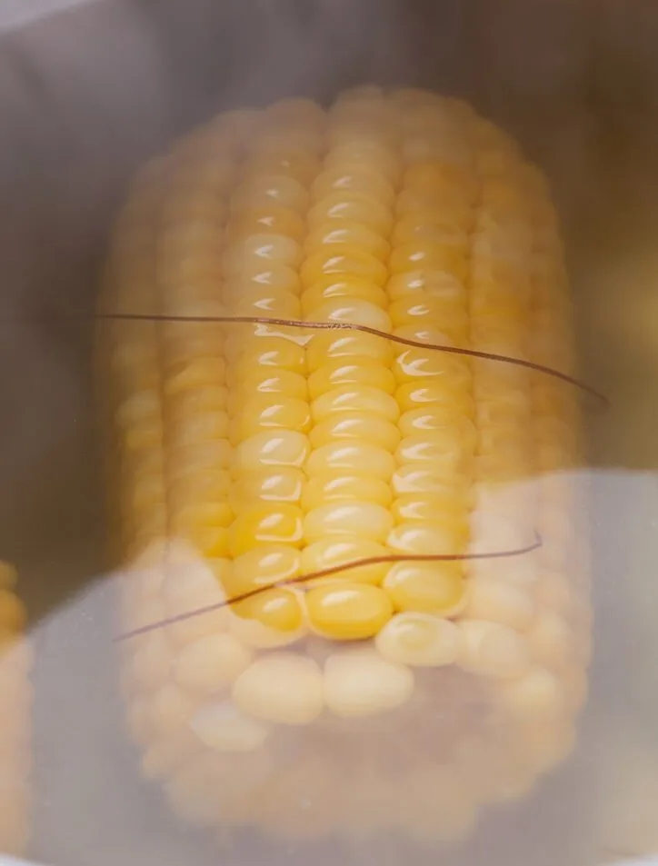 corn in water