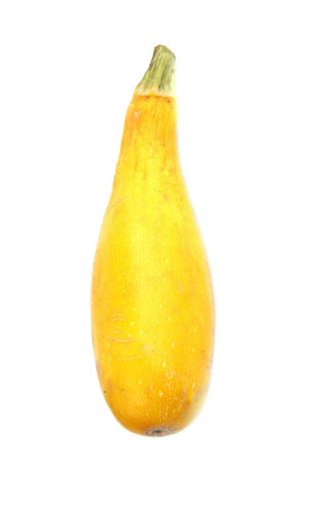 Whole yellow squash.