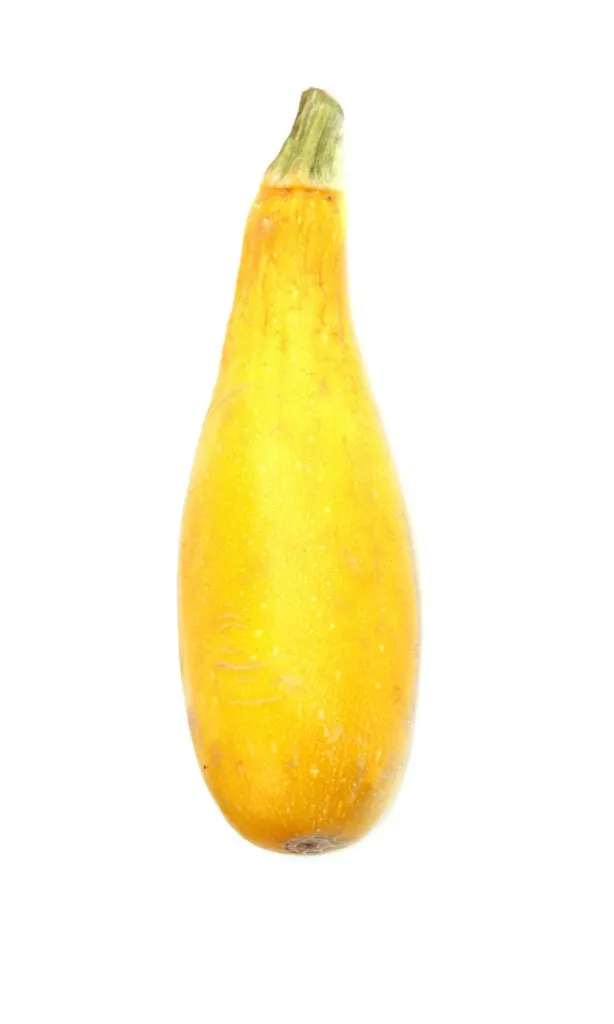 Whole yellow squash.