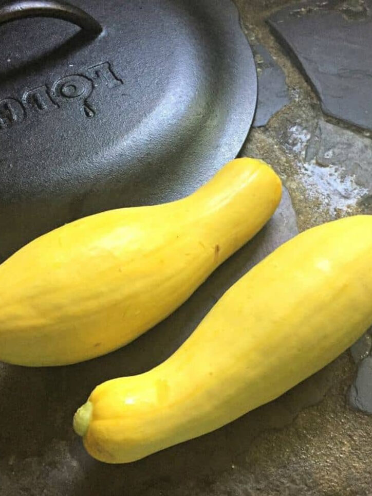 two squash on the counter.