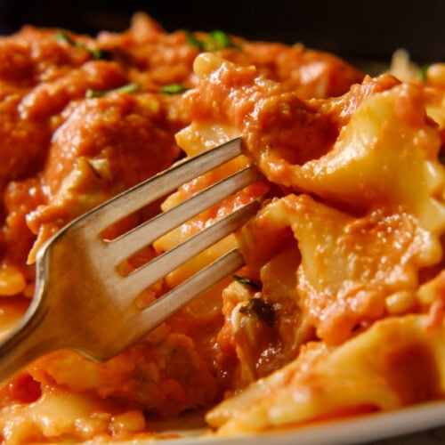 pasta being twirled on a fork